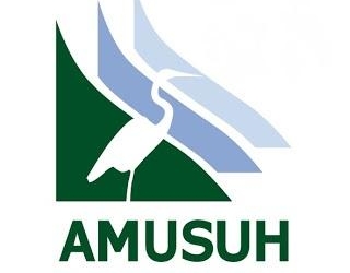 Amusuh